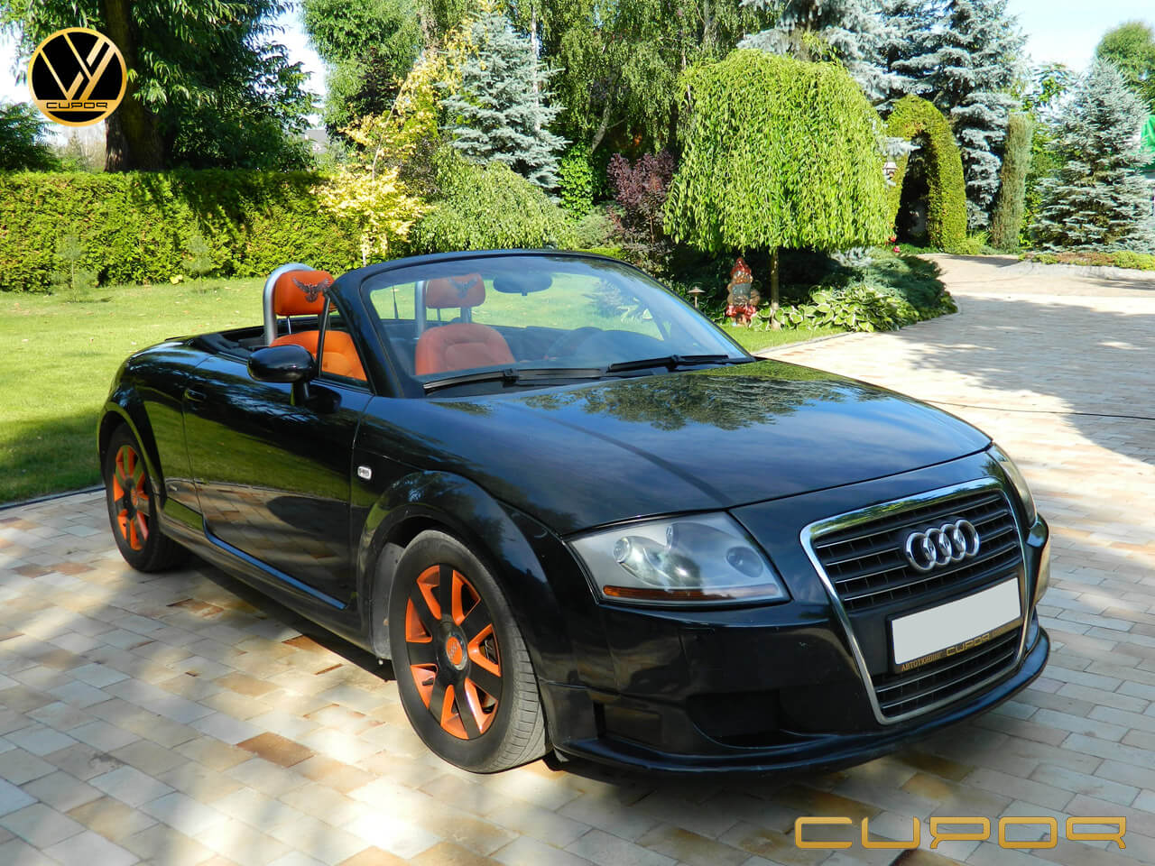 Audi TT